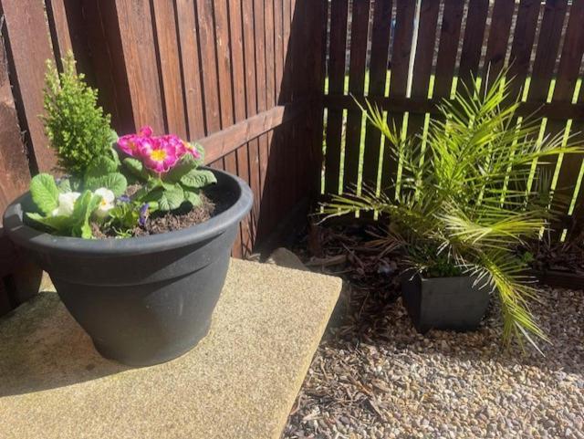 Ground Floor Apartment With Garden Glasgow Ngoại thất bức ảnh
